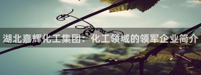 球盟会里面有打牌的嘛知乎
