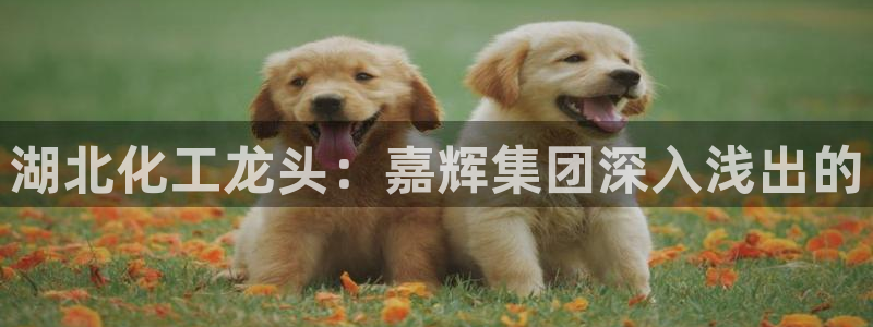 球盟会体育平台