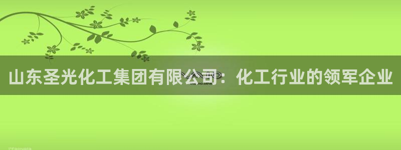 球盟会体育app官方网站：山东圣光化工集团有限公司：化工行业