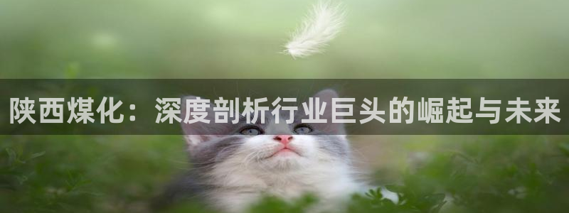 球盟会APP下载