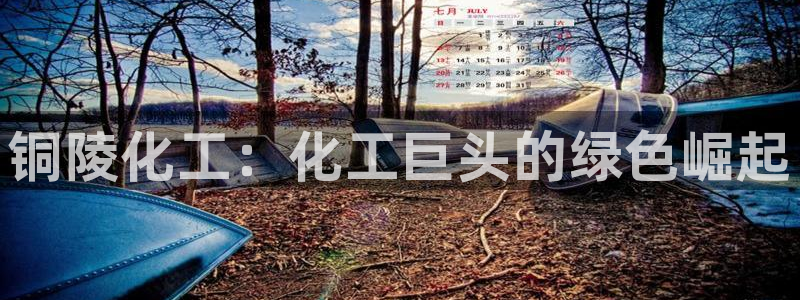 球盟会qm：铜陵化工：化工巨头的绿色崛起