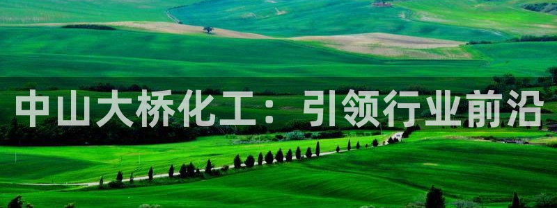 球盟会qmh电子网页版登录：中山大桥化工：引领行业前沿