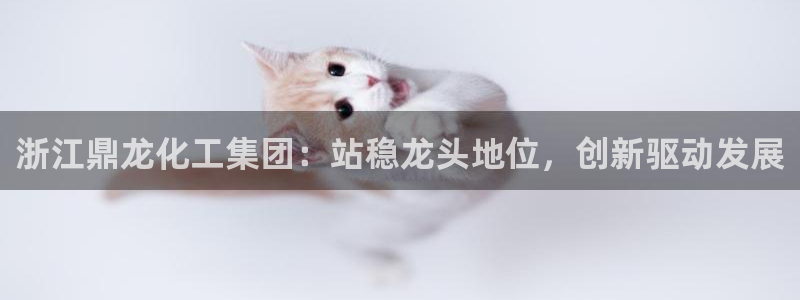 球盟会app最新地址下载安装