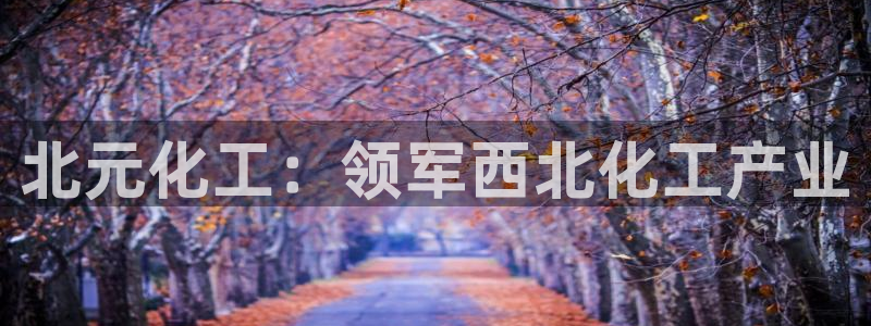 球盟会qm9：北元化工：领军西北化工产业