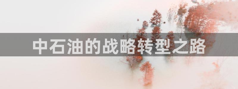 球盟会网页版登陆