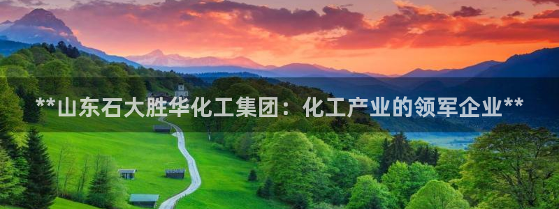 球盟会官方客服：**山东石大胜华化工集团：化工产业的领军企业
