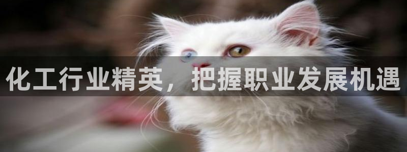 球盟会App