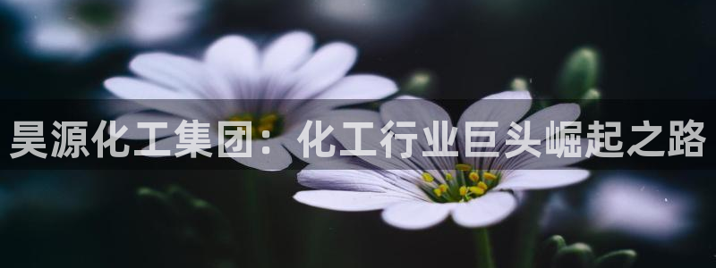 球盟会官方登录平台入口