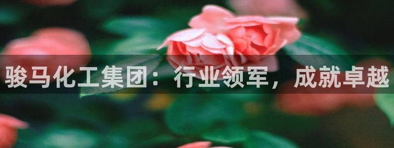 球盟会黑款吗知乎