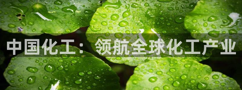 球盟会app最新地址下载
