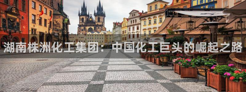 球盟会官网app下载