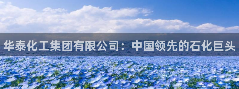球盟会出款黑了：华泰化工集团有限公司：中国领先的石化巨头