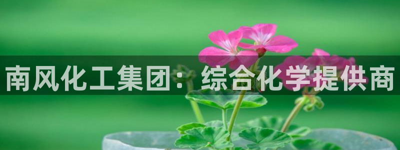 球盟会官方登录平台入口