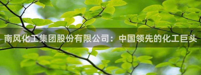 球盟会电子好下吗：南风化工集团股份有限公司：中国领先的化工巨