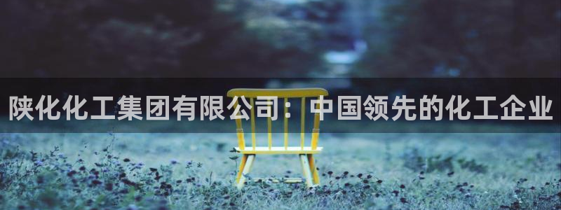 球盟会有没有黑单的：陕化化工集团有限公司：中国领先的化工企业