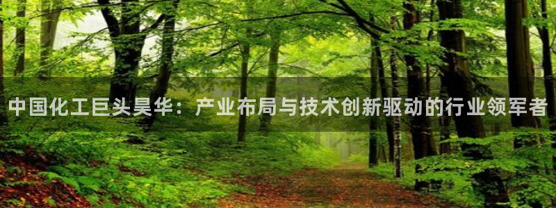 球盟会app安装