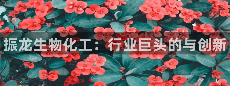球盟会APP下载