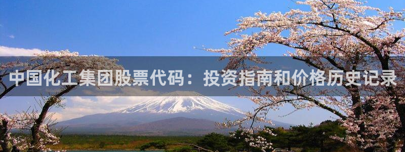 球盟会电子好黑：中国化工集团股票代码：投资指南和价格历史记录