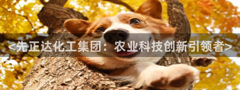 球盟会app最新地址下载安装