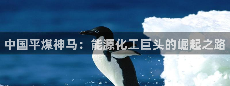 球盟会优惠券