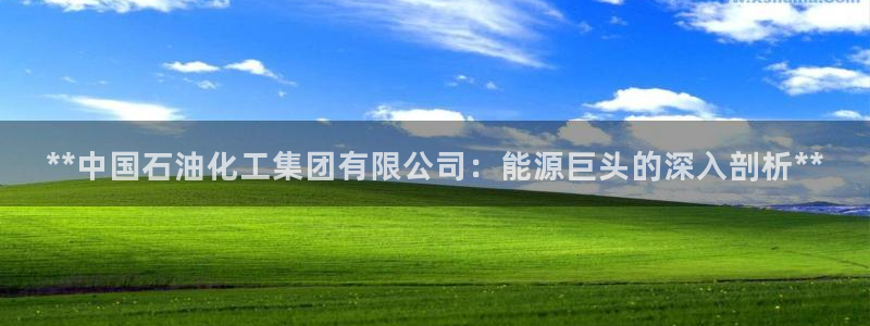 球盟会在线登入