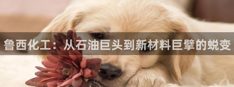 球盟会中国官方网站