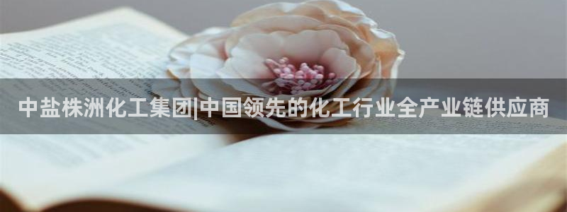 球盟会入口：中盐株洲化工集团|中国领先的化工行业全产业链供应