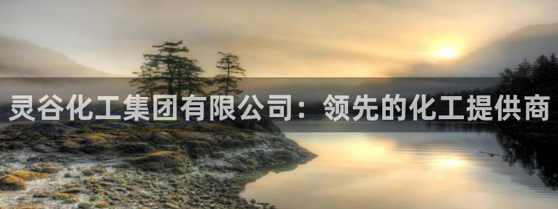球盟会黑钱：灵谷化工集团有限公司：领先的化工提供商