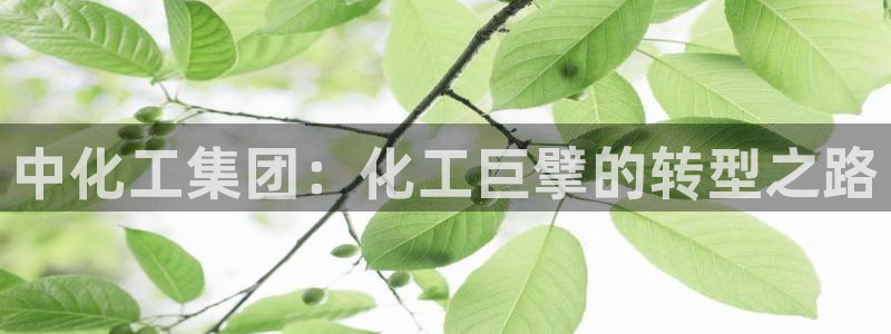 球盟会登录网址