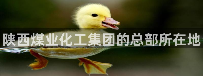球盟会网页登录app下载地址