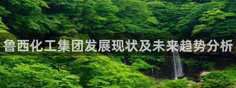 球盟会有没有黑单的：鲁西化工集团发展现状及未来趋势分析