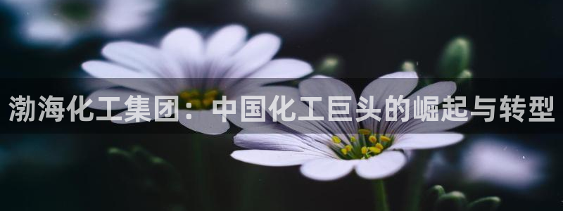 球盟会app最新地址在哪看