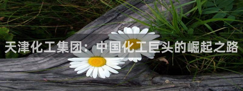 球盟会官网登录入口