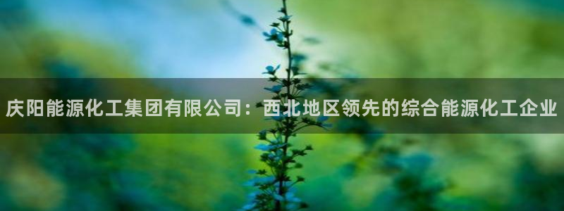 球盟会app最新地址下载：庆阳能源化工集团有限公司：西北地区