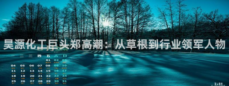 球盟会电子