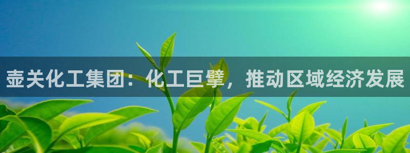 球盟会官网登录入口