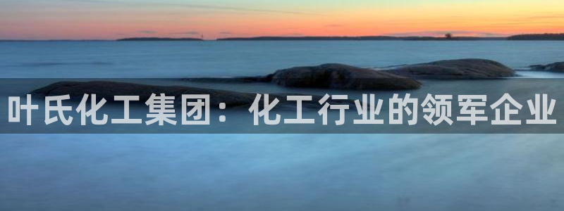 球盟会电子