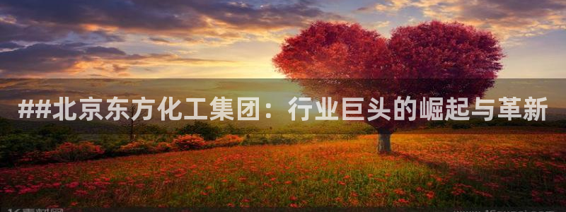 球盟会网址多少