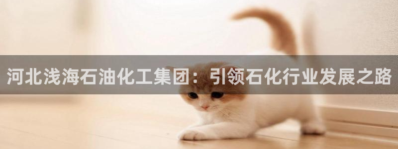 球盟会优惠领取网站：河北浅海石油化工集团：引领石化行业发展之