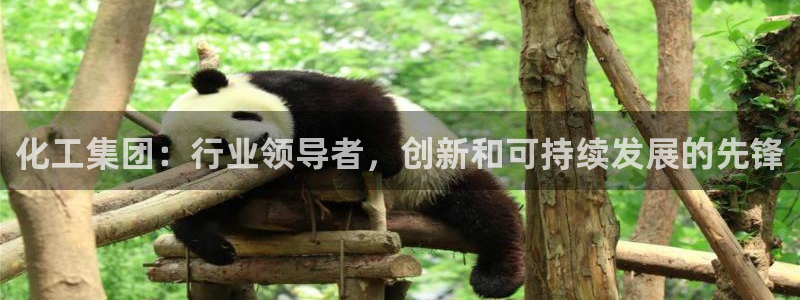 球盟会qm9：化工集团：行业领导者，创新和可持续发展的先锋