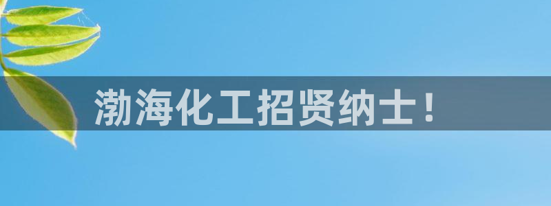 球盟会官方网站入口