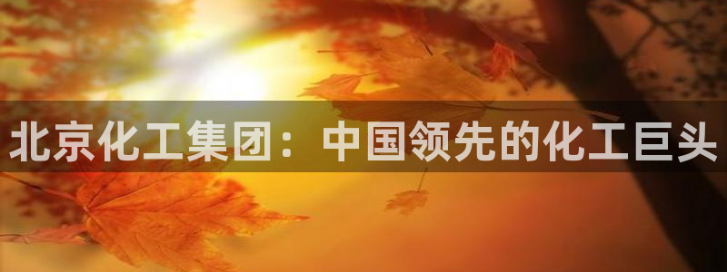 球盟会论坛