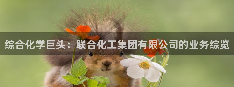 球盟会手机网页版