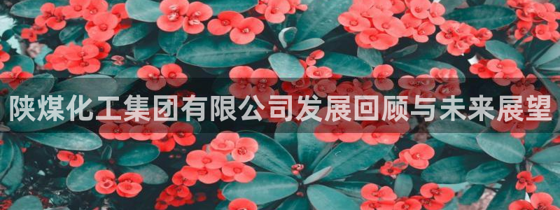 球盟会网页版登陆：陕煤化工集团有限公司发展回顾与未来展望