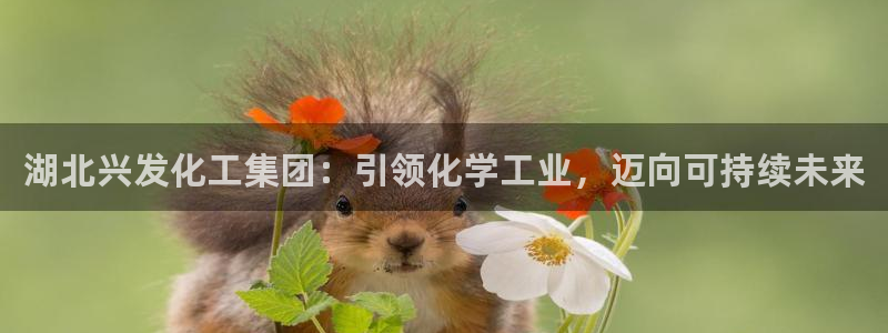 球盟会黑台子吗：湖北兴发化工集团：引领化学工业，迈向可持续未