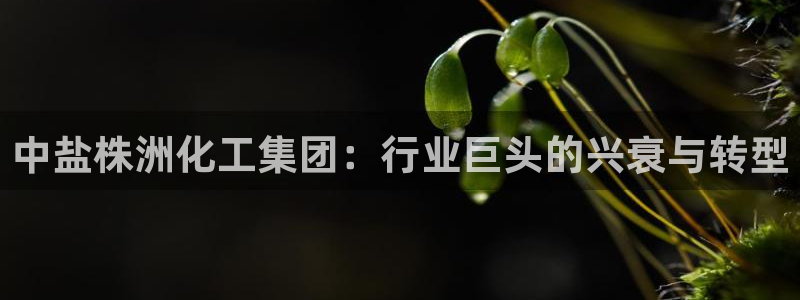 球盟会里面有打牌的嘛知乎
