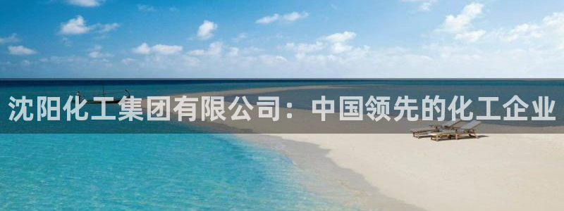 球盟会进不去：沈阳化工集团有限公司：中国领先的化工企业