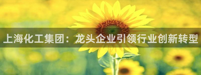 球盟会官方版下载地址