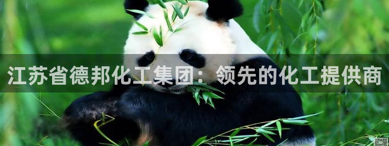 球盟会类似的网站：江苏省德邦化工集团：领先的化工提供商