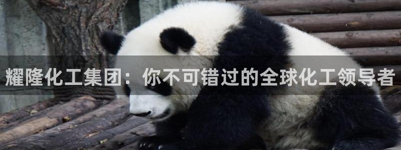 球盟会连接：耀隆化工集团：你不可错过的全球化工领导者